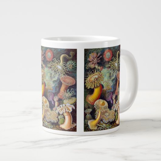 ヴィンテージ水中シーアネモネズバイエルンストハエッケル ジャンボコーヒーマグカップ (正面右)