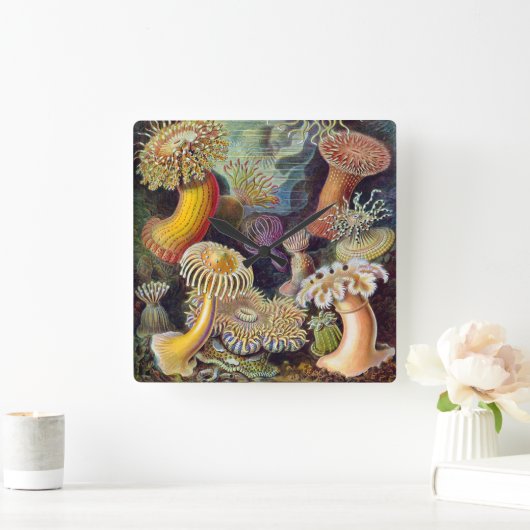 ヴィンテージ水中シーアネモネズバイエルンストハエッケル スクエア壁時計 (ホーム)