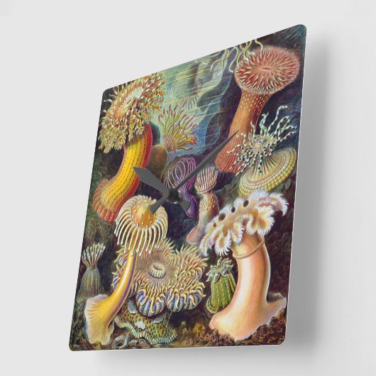 ヴィンテージ水中シーアネモネズバイエルンストハエッケル スクエア壁時計 (傾斜)