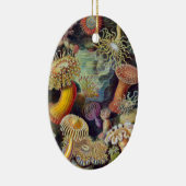 ヴィンテージ水中シーアネモネズバイエルンストハエッケル セラミックオーナメント (右)