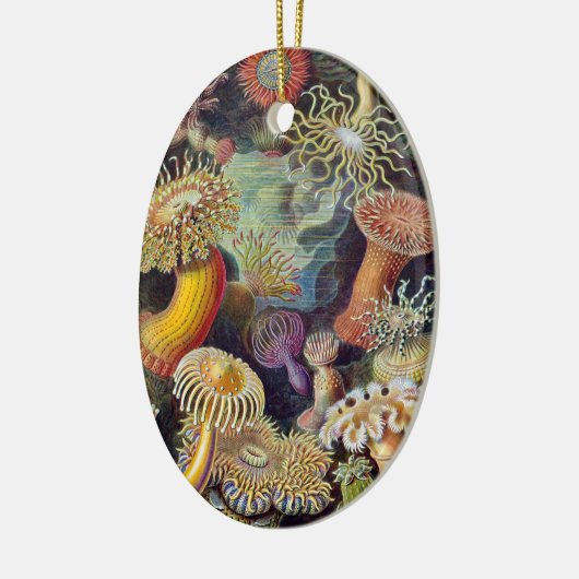 ヴィンテージ水中シーアネモネズバイエルンストハエッケル セラミックオーナメント (左)