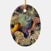 ヴィンテージ水中シーアネモネズバイエルンストハエッケル セラミックオーナメント (正面)