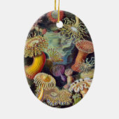 ヴィンテージ水中シーアネモネズバイエルンストハエッケル セラミックオーナメント (裏面)