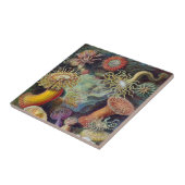 ヴィンテージ水中シーアネモネズバイエルンストハエッケル タイル (側面)