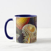 ヴィンテージ水中シーアネモネズバイエルンストハエッケル マグカップ (左)