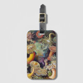 ヴィンテージ水中シーアネモネズバイエルンストハエッケル ラゲッジタグ (正面縦)