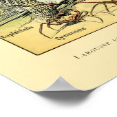 ヴィンテージ水中競技ライフバイアドルフェミロ ポスター (角)