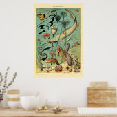 ヴィンテージ水中競技ライフバイアドルフェミロ ポスター (キッチン)