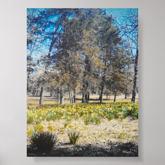 ヴィンテージ水仙の森ポスター ポスター (正面)