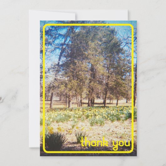 ヴィンテージ水仙サンキューカード サンキューカード (正面)