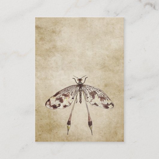 ヴィンテージ水彩トンボ結婚式レセプション エンクロージャーカード (裏面)