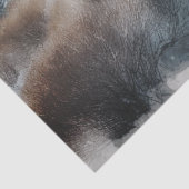 ヴィンテージ水彩列車 薄葉紙 (詳細)