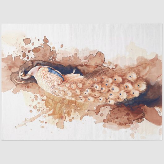 ヴィンテージ水彩孔雀 薄葉紙 (正面)