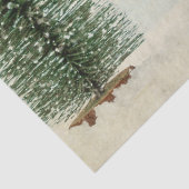 ヴィンテージ水彩松の木クリスマス 薄葉紙 (詳細)