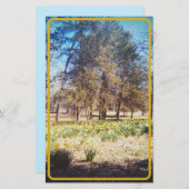 ヴィンテージ水文具 便箋 (正面/裏面)