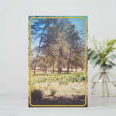 ヴィンテージ水文具 便箋 (スタンド正面)