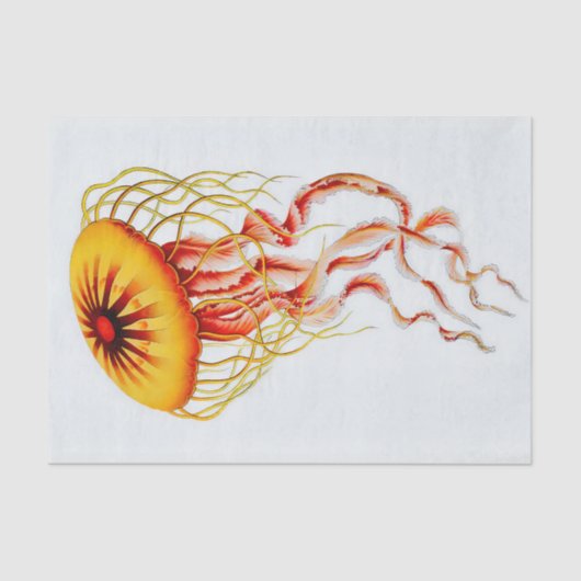 ヴィンテージ水色クラゲの白い背景 薄葉紙 (正面)