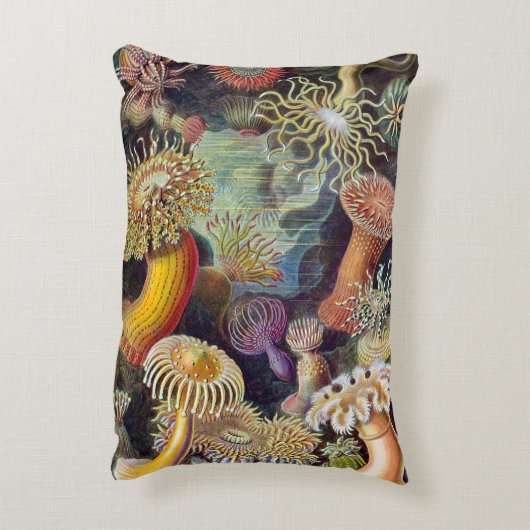 ヴィンテージ海アネモネス,アクチニエbyエルンスト・ヘイケル アクセントクッション (裏面(縦))