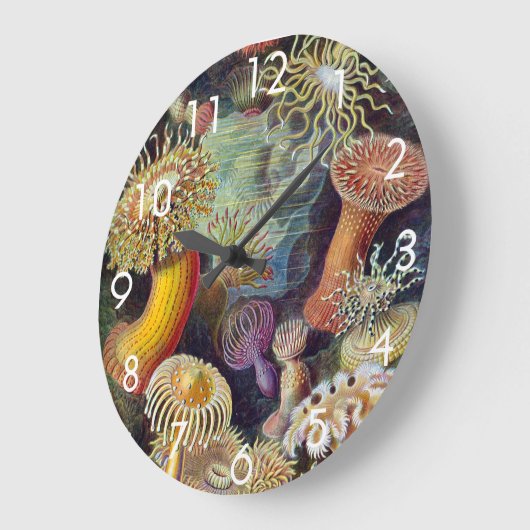 ヴィンテージ海アネモネス,アクチニエbyエルンスト・ヘイケル ラージ壁時計 (傾斜)