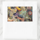 ヴィンテージ海アネモネス，アクチニエbyエルンスト・ヘイケル 長方形シール (バッグ)