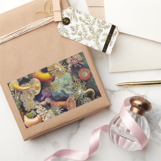 ヴィンテージ海アネモネス，アクチニエbyエルンスト・ヘイケル 長方形シール (ギフト)