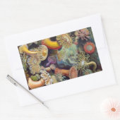 ヴィンテージ海アネモネス，アクチニエbyエルンスト・ヘイケル 長方形シール (封筒)