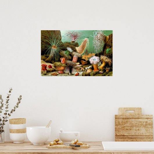 ヴィンテージ海アネモネ水中シーンのポスター ポスター (キッチン)