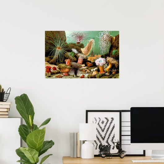 ヴィンテージ海アネモネ水中シーンのポスター ポスター (ホームオフィス)