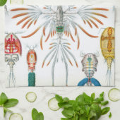 ヴィンテージ海動物、Copepoda by Ernst Haeckel キッチンタオル (折り畳み)