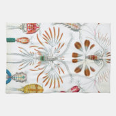 ヴィンテージ海動物、Copepoda by Ernst Haeckel キッチンタオル (横)