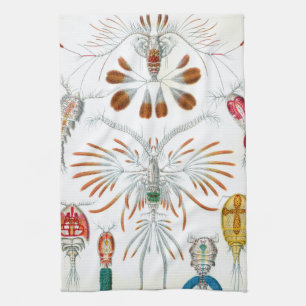 ヴィンテージ海動物、Copepoda by Ernst Haeckel キッチンタオル