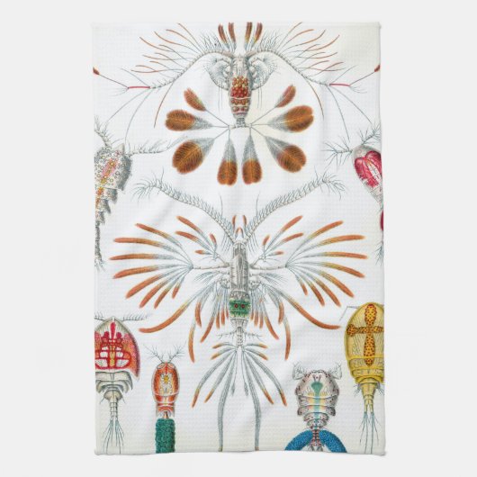 ヴィンテージ海動物、Copepoda by Ernst Haeckel キッチンタオル (縦)