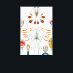 ヴィンテージ海動物、Copepoda by Ernst Haeckel キャンバスプリント<br><div class="desc">ヴィンテージイラストレーション海洋生命生物学デザインby Ernst Haeckel.この画像は、海洋や多くの淡水環境で見られる小さな甲殻類である様々な子脚動物を特徴としている。一部の種はプランクトニックであるが、一部は底生生物である。</div>