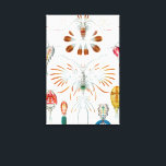 ヴィンテージ海動物、Copepoda by Ernst Haeckel キャンバスプリント<br><div class="desc">ヴィンテージイラストレーション海洋生命生物学デザインby Ernst Haeckel.この画像は、海洋や多くの淡水環境で見られる小さな甲殻類である様々な子脚動物を特徴としている。一部の種はプランクトニックであるが、一部は底生生物である。</div>