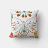 ヴィンテージ海動物、Copepoda by Ernst Haeckel クッション (正面)