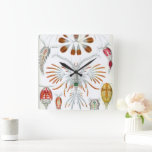 ヴィンテージ海動物、Copepoda by Ernst Haeckel スクエア壁時計<br><div class="desc">ヴィンテージイラストレーション海洋生命生物学デザインby Ernst Haeckel.この画像は、海洋や多くの淡水環境で見られる小さな甲殻類である様々な子脚動物を特徴としている。一部の種はプランクトニックであるが、一部は底生生物である。</div>