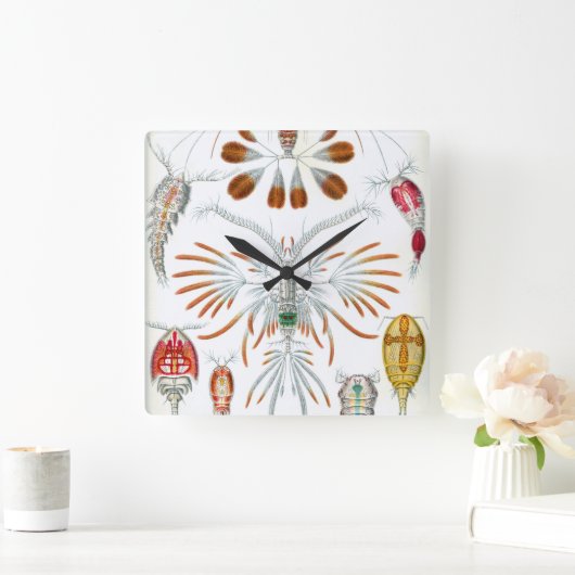 ヴィンテージ海動物、Copepoda by Ernst Haeckel スクエア壁時計 (ホーム)