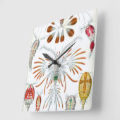 ヴィンテージ海動物、Copepoda by Ernst Haeckel スクエア壁時計 (傾斜)