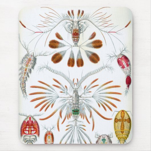 ヴィンテージ海動物、Copepoda by Ernst Haeckel マウスパッド (正面)