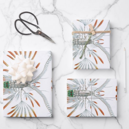 ヴィンテージ海動物、Copepoda by Ernst Haeckel ラッピングペーパーシート (正面)