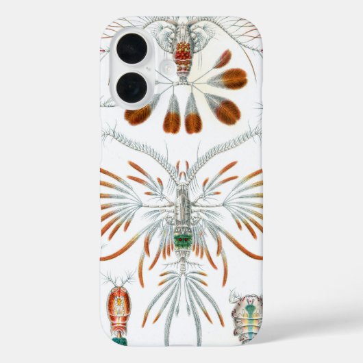 ヴィンテージ海動物、Copepoda by Ernst Haeckel Case-Mate iPhoneケース (裏面)