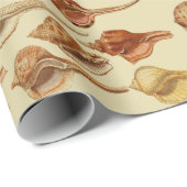 ヴィンテージ海底沿岸カタツムリ ラッピングペーパー (ロールコーナー)