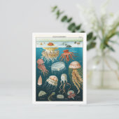 ヴィンテージ海洋学クラゲのポスター ポストカード (スタンド正面)