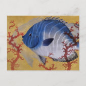 ヴィンテージ海洋海生物熱帯青魚サンゴ ポストカード (正面)
