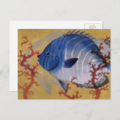 ヴィンテージ海洋海生物熱帯青魚サンゴ ポストカード (正面/裏面)