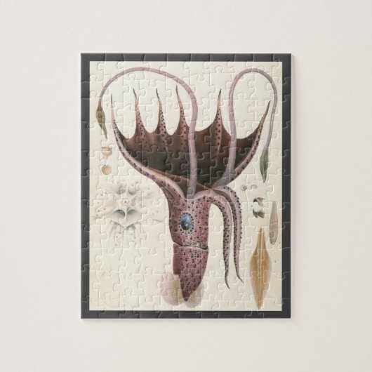 ヴィンテージ海洋生命動物傘イカ ジグソーパズル (縦)