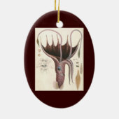 ヴィンテージ海洋生命動物傘イカ セラミックオーナメント (裏面)