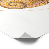 ヴィンテージ海洋生物イラストレーションポスター ポスター (角)