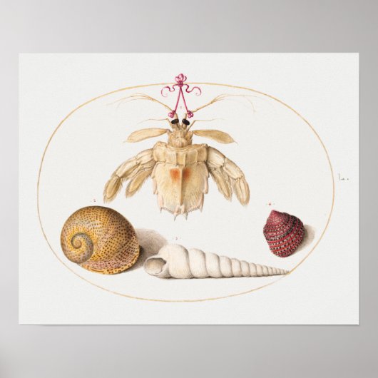 ヴィンテージ海洋生物イラストレーションポスター ポスター (正面)