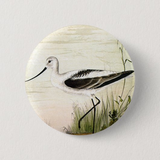 ヴィンテージ海洋生物ショアバード、アボケの鳥 缶バッジ (正面)